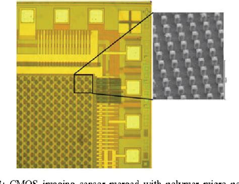 integrated polarization sensor